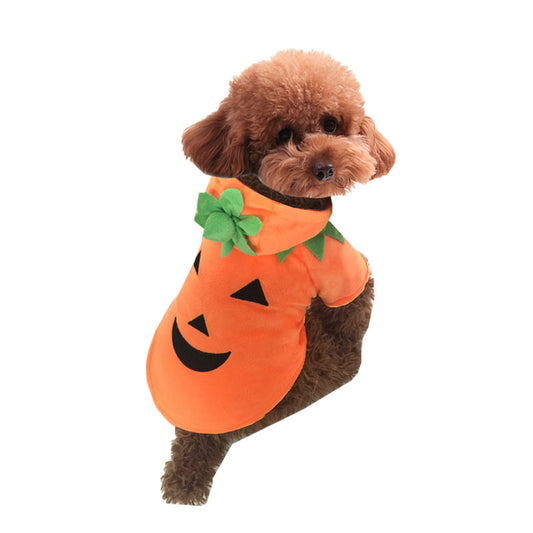 How to Make This Halloween a Pawsitively Spooktacular Time for Your Furry Friends!
