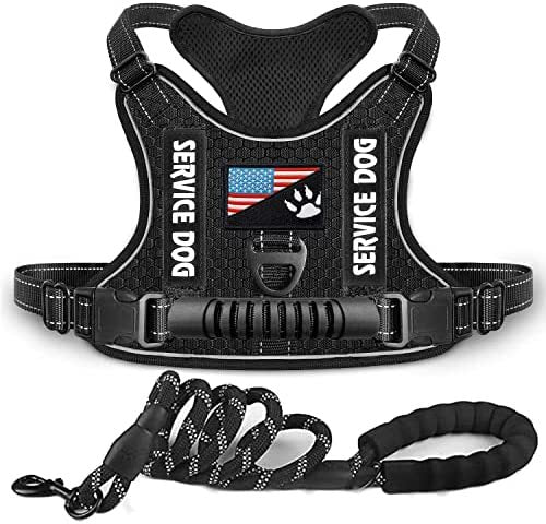 Dog Harness with Rope Leash