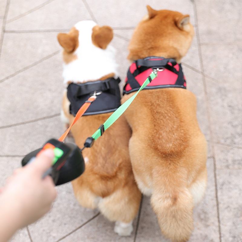 Anti-Winding Double-Headed Traction Rope for Small and Medium Dogs