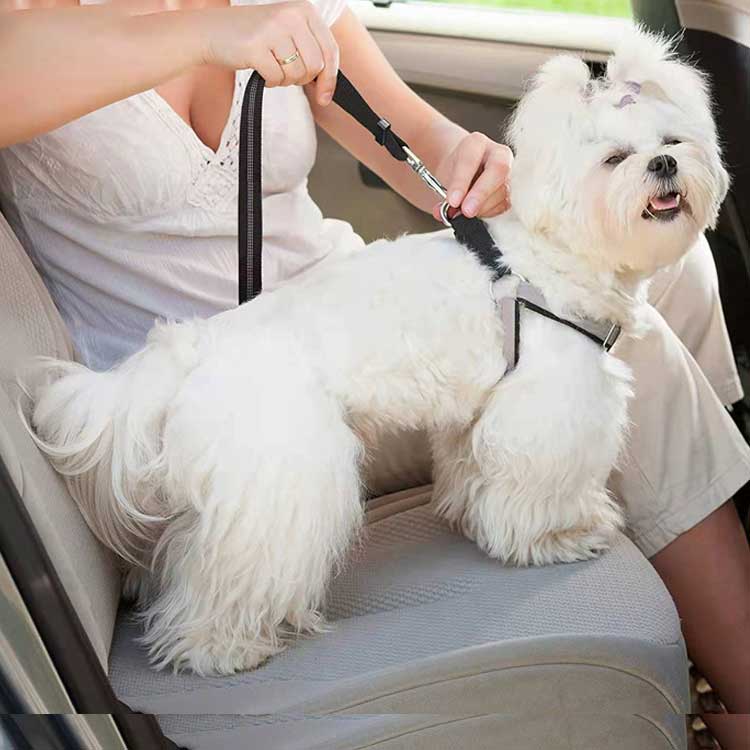 Explosion Proof Car Seat Belt Dual Purpose Dog Traction Rope