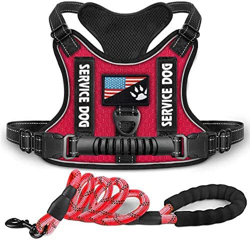 Dog Harness with Rope Leash