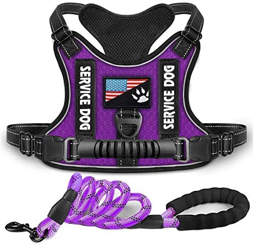 Dog Harness with Rope Leash