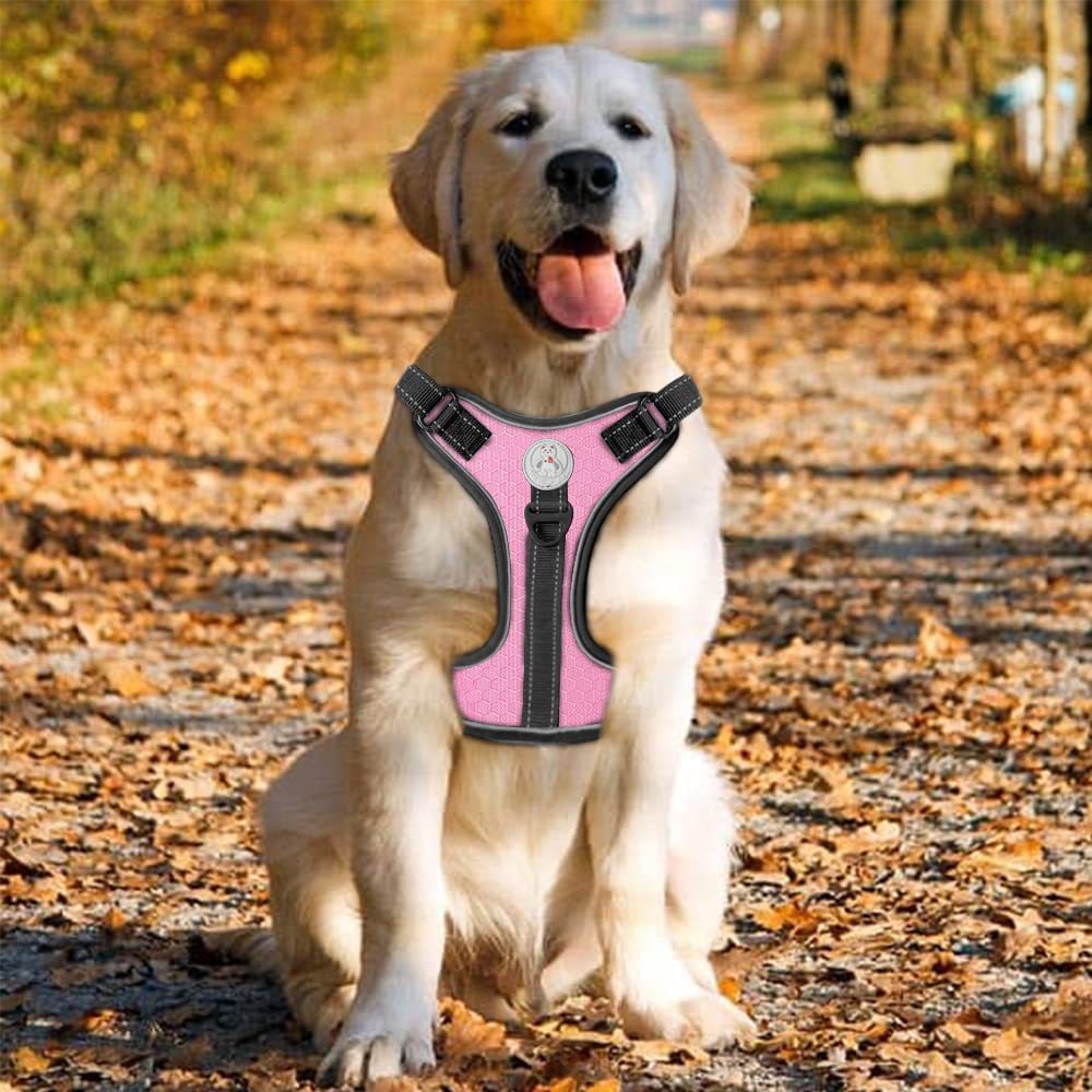 Dog Harness with Rope Leash