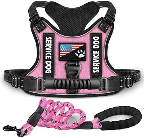 Dog Harness with Rope Leash