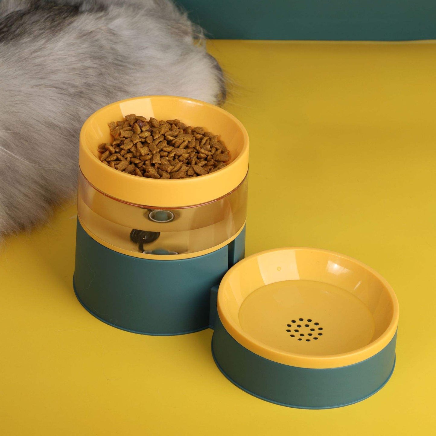 Cat Bowl, Feeder Pet Bowl