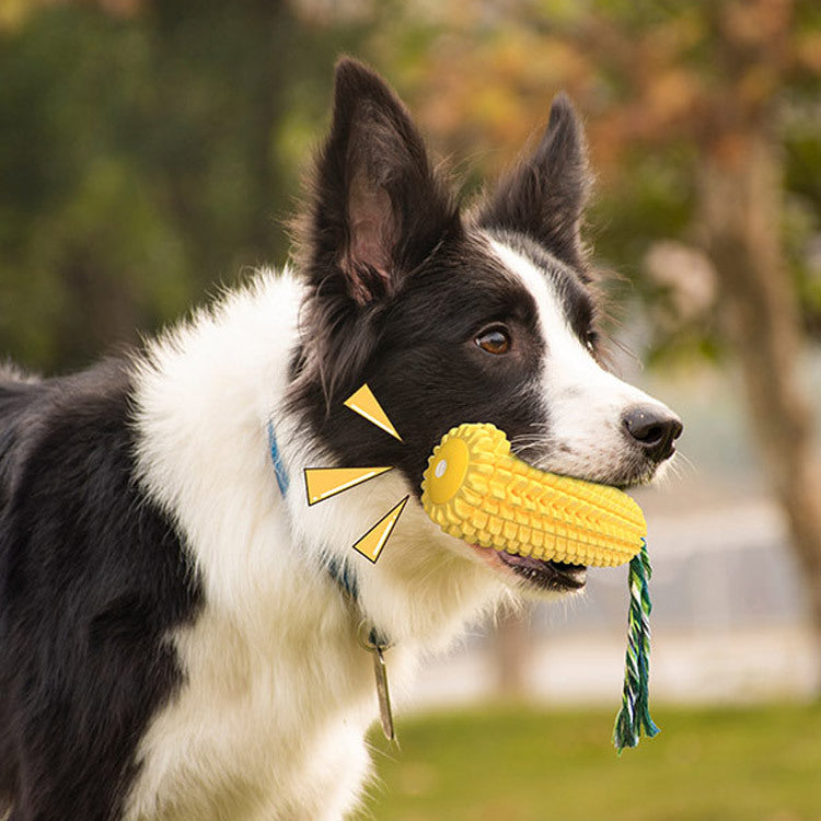 Corn Shaped Molar Stick, Dental Dog Toy