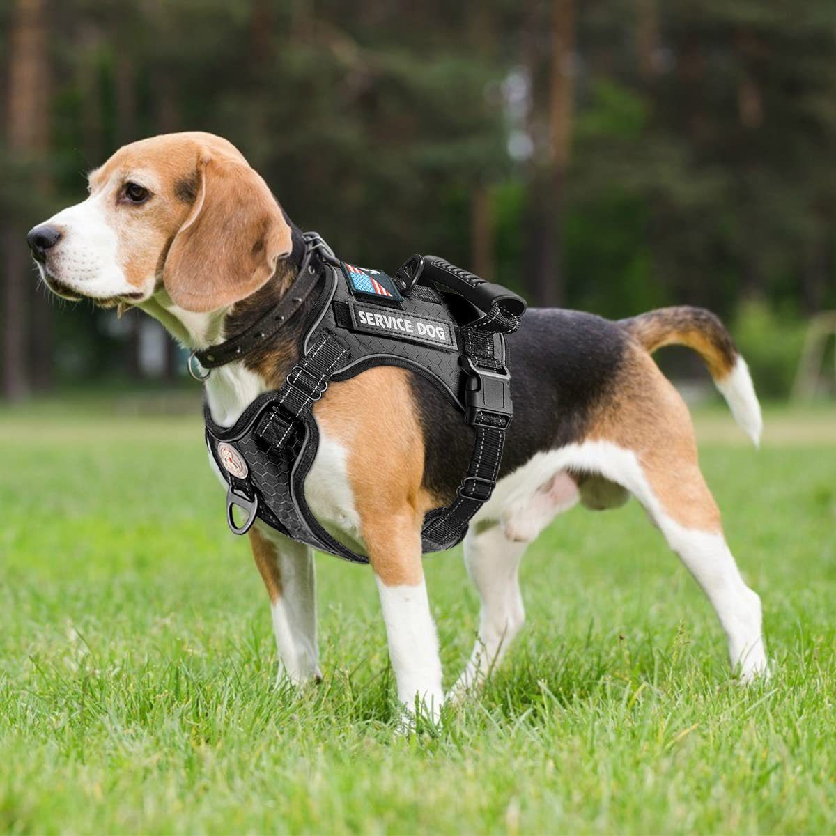 Dog Harness with Rope Leash