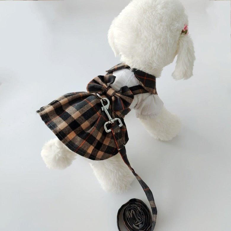 Checkered Dog Dress with Matching Leash