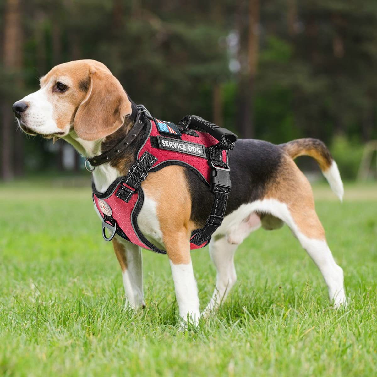 Dog Harness with Rope Leash