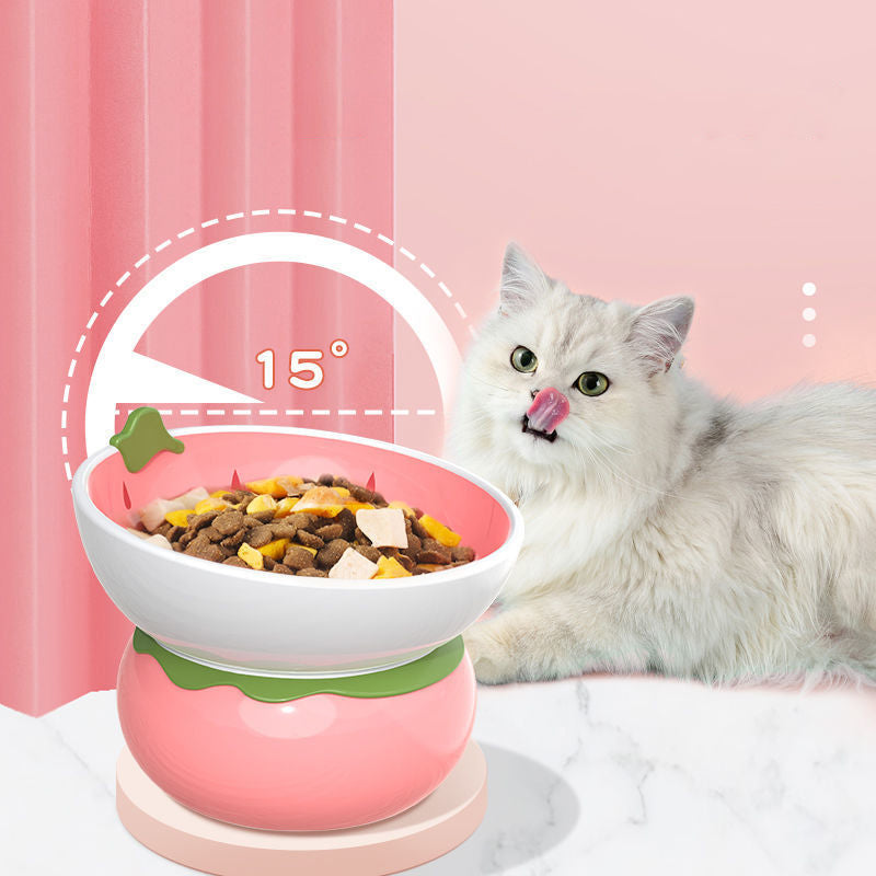 Fruit Themed Ceramic Pet Bowls