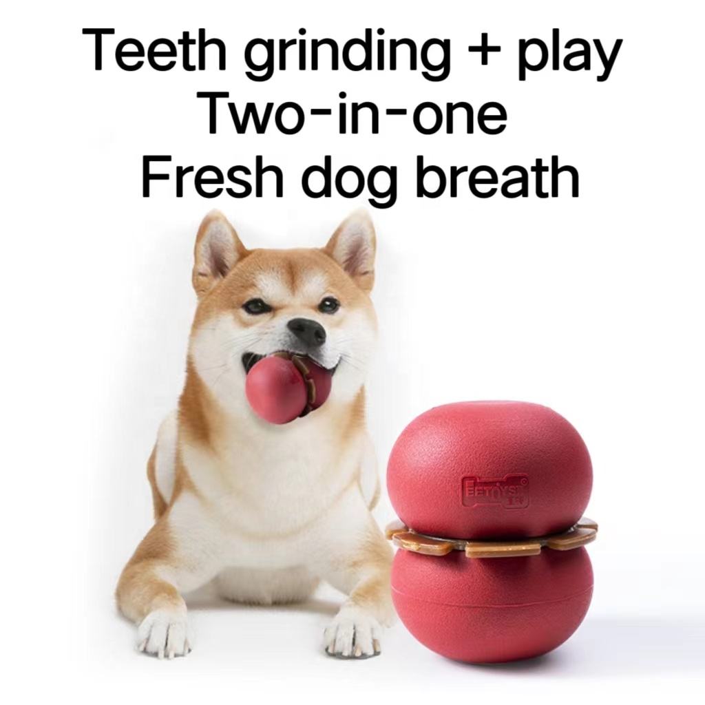 Z Tire shape dog nibbles Hiding Food Interactive Iq Training rubber Dog Chew Toy