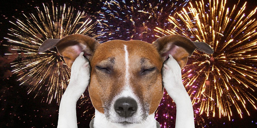 Keeping Your Furry Friends Calm: Navigating Fireworks and Loud Noises with Your Beloved Pets