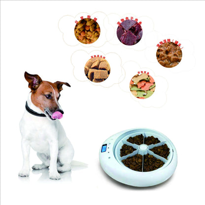 Automatic Pet Feeder, 6-Meal Compartments