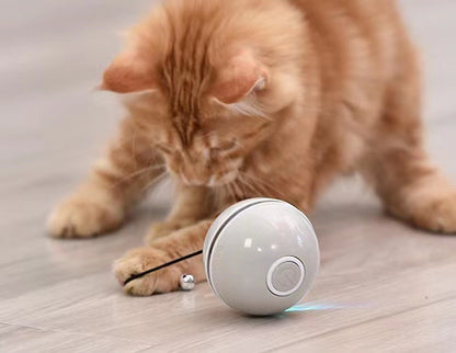 Cat USB Charging Ball