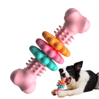 Dog Bone Dental Toy