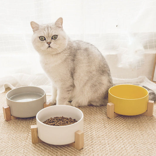 Ceramic Pet Bowl, Water, Feeding, Non-Slip, Wooden Frame, Anti Overturning