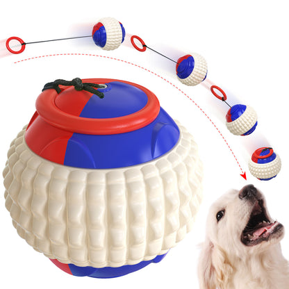 Dog Ball Toy