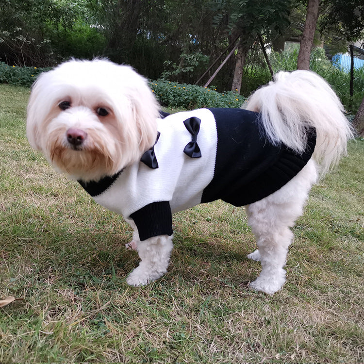 Black and White Dog Sweater with Bows