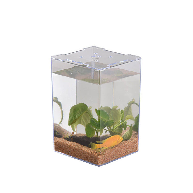 Acrylic Transparent Desktop Plastic Fish Tank