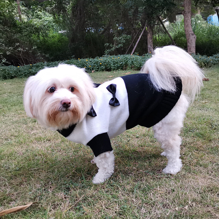 Black and White Dog Sweater with Bows