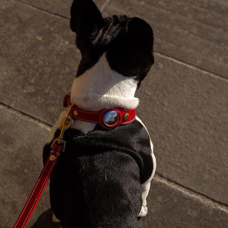 Leather Apple Airtag Dog Collar