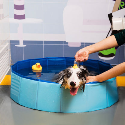 Foldable Dog Pool / Pet Bath