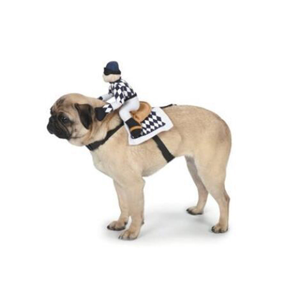 Halloween Pet Costumes