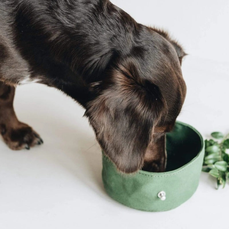 Waxed Portable Canvas Dog Bowl