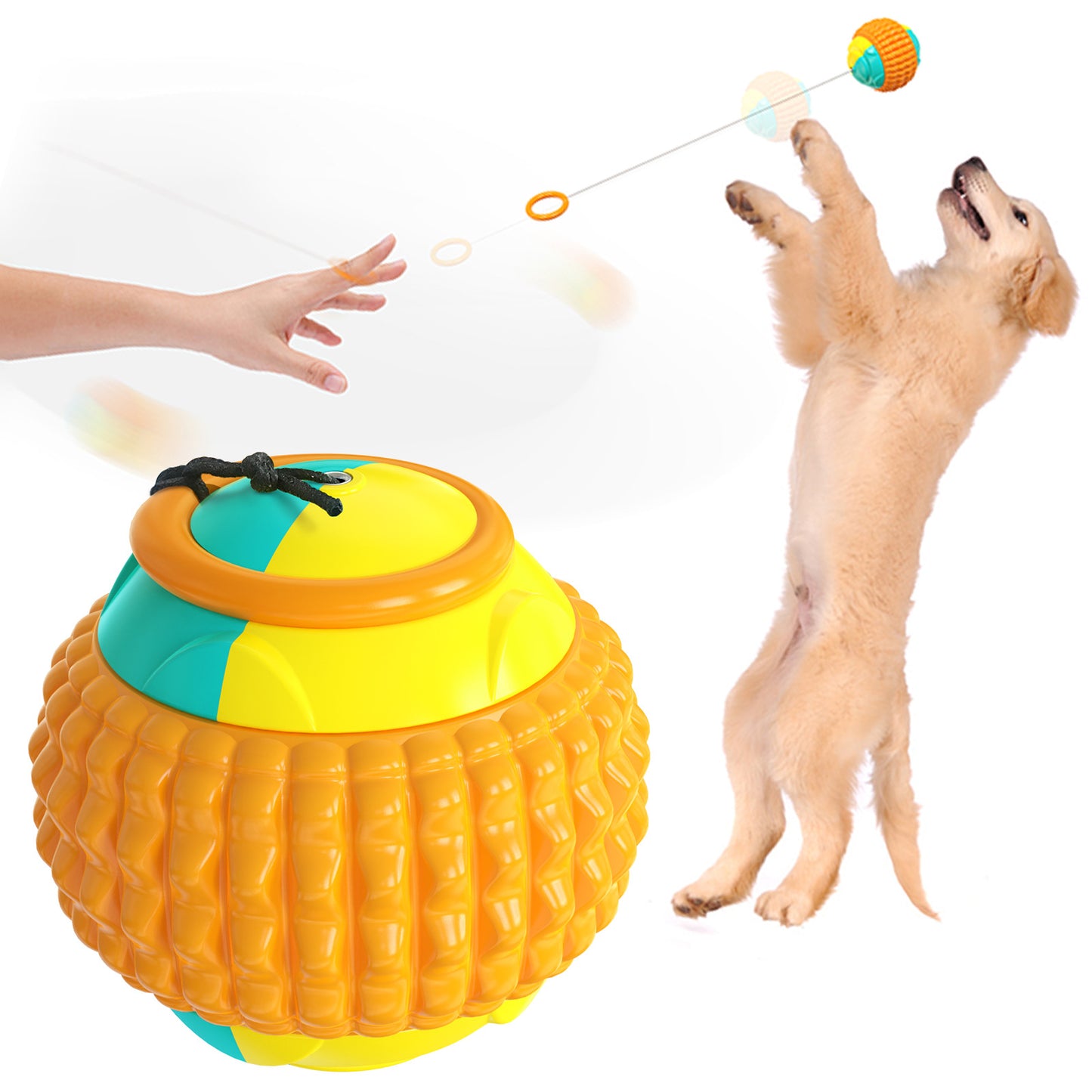 Dog Ball Toy