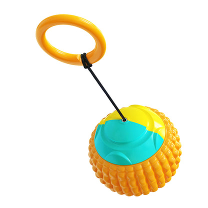 Dog Ball Toy