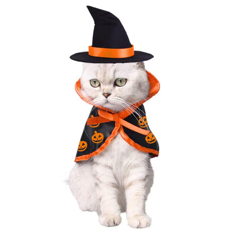 Halloween Cat Cloak