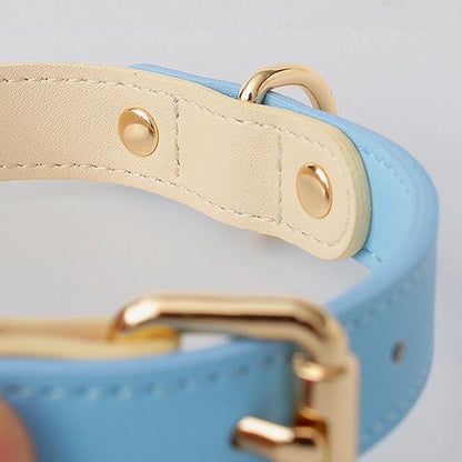 Leather Dog Collar