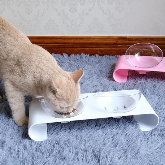 Double Angled Cat Bowl