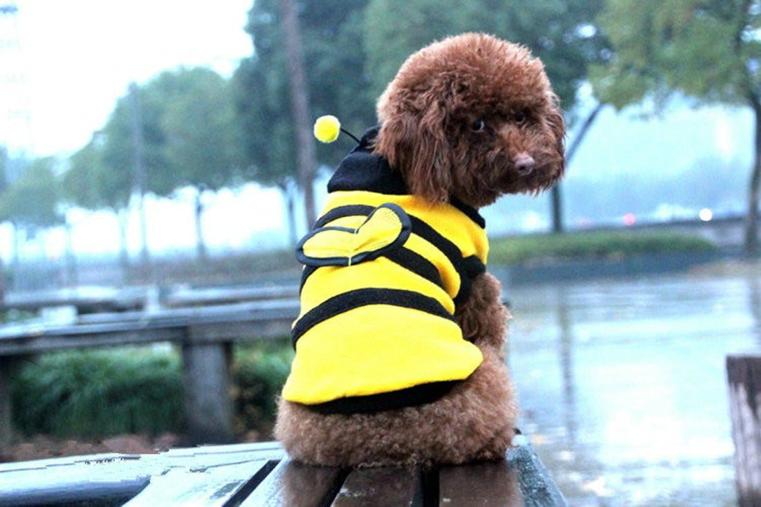 Bumble Bee Dog Costume