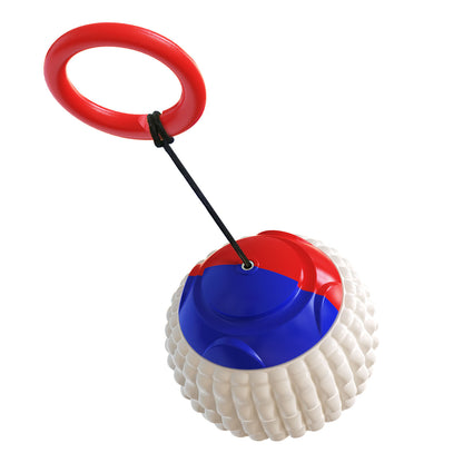 Dog Ball Toy