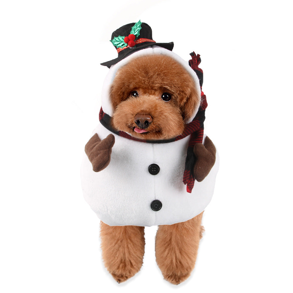 Halloween Pet Costumes