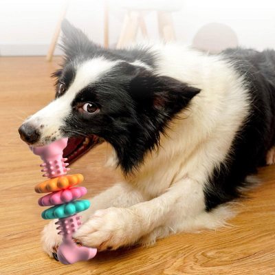 Dog Bone Dental Toy