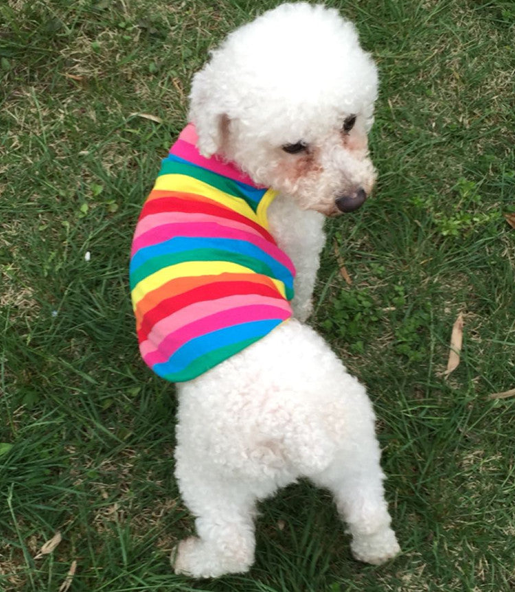 Colorful Rainbow Striped Dog T-Shirt