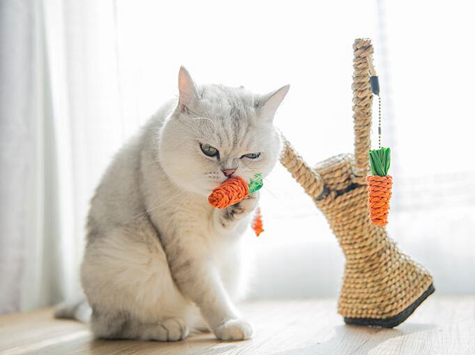 Cat Tree Tower, Sisal Scratching Post