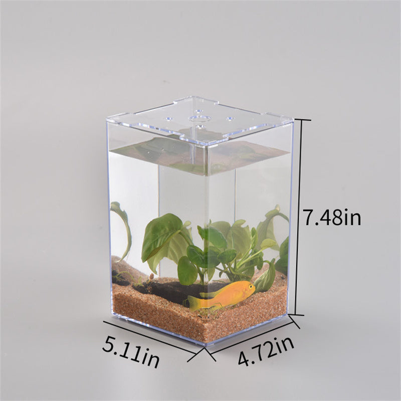 Acrylic Transparent Desktop Plastic Fish Tank