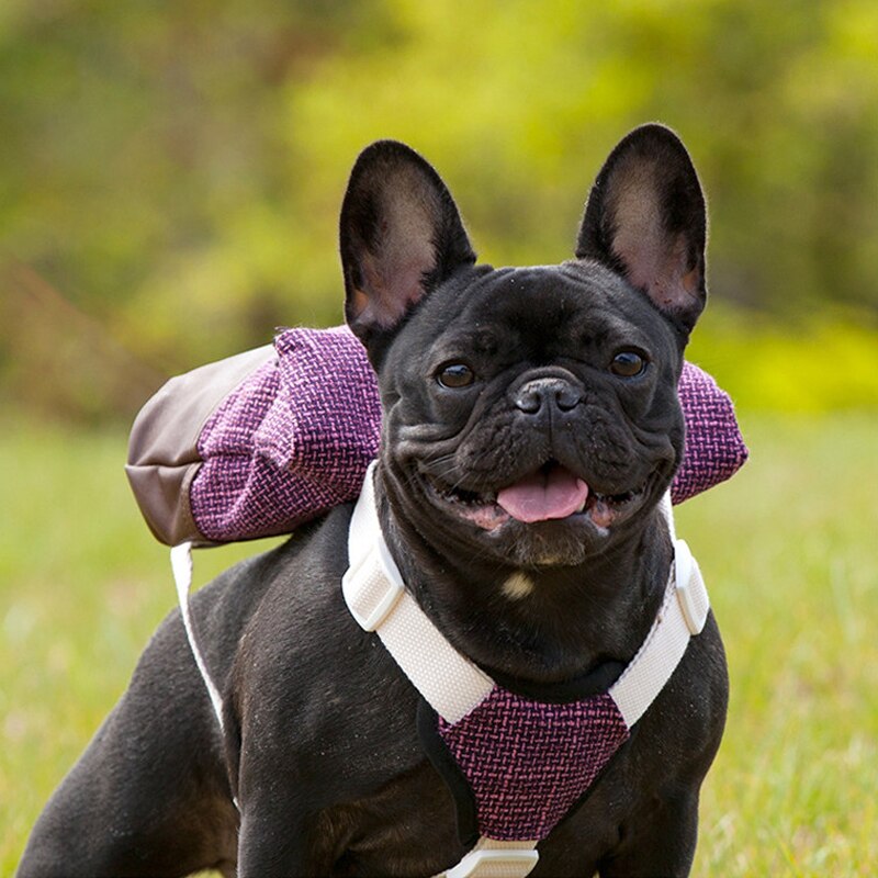 Dog Harness, Backpack, Snack Bag