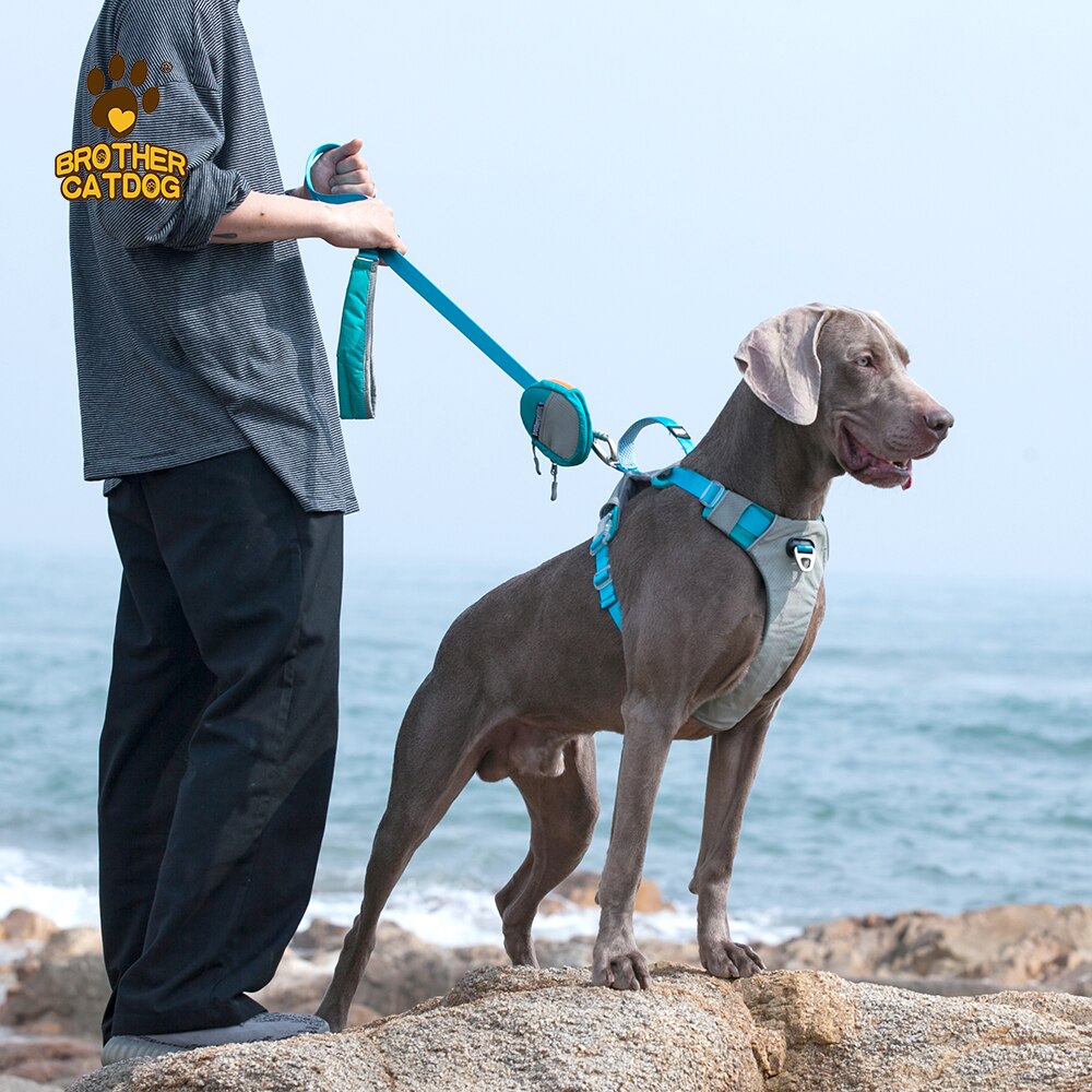 Dog Harness with Handle