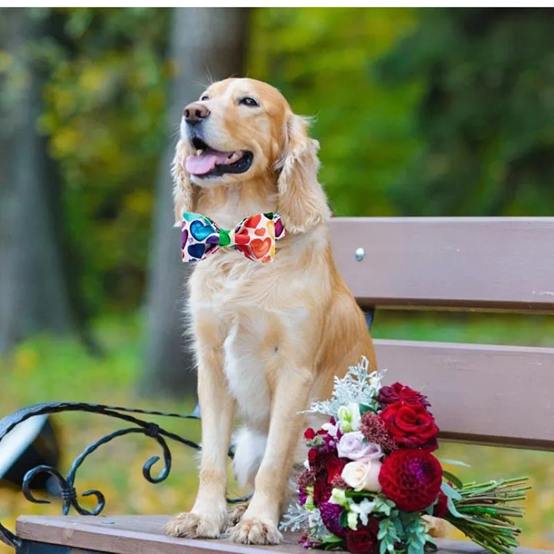 Unique Style Paws Valentine Colorful Heart Dog Collar with Bow Tie Pet Dog Collar for Large Medium Small Dog